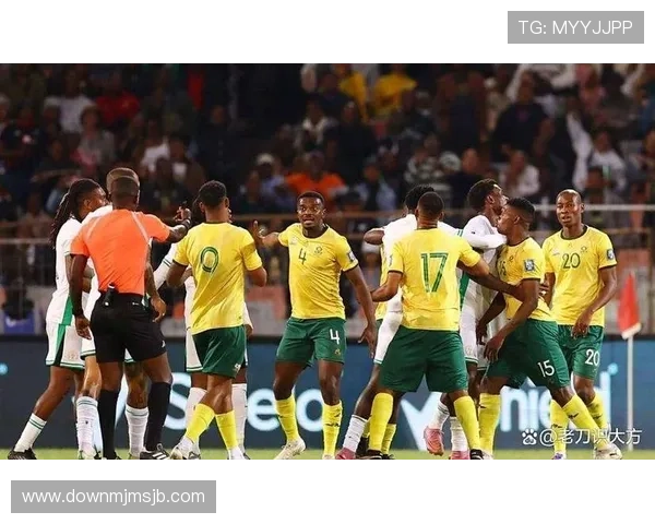 南非世界杯决赛赛前预测与专家点评，谁能夺冠成为焦点