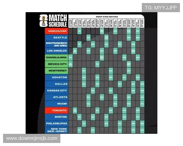 2026年世界杯举办城市选择背后的决策过程详解
